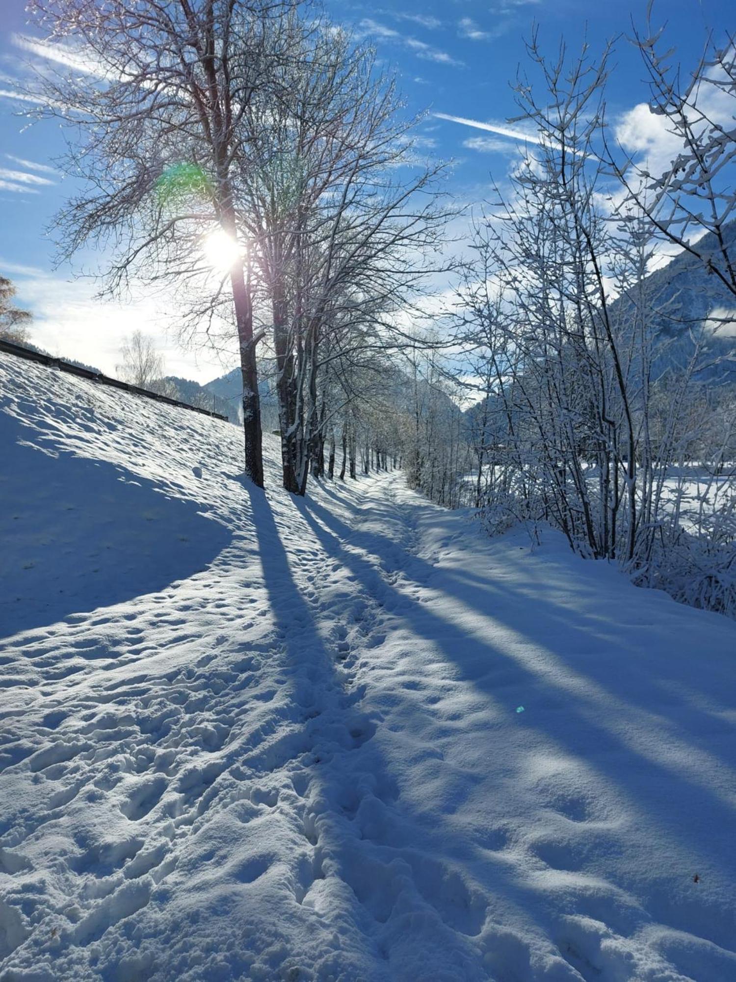 Alpapart Hornberg Höfen 外观 照片